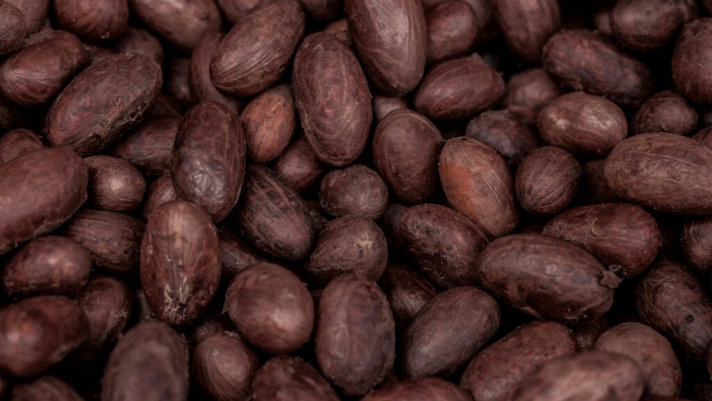 Cacau em pó faz bem? Descubra os principais benefícios para a saúde